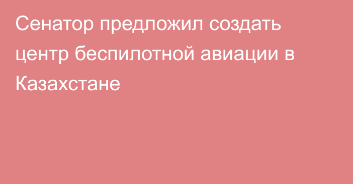 Сенатор предложил создать центр беспилотной авиации в Казахстане