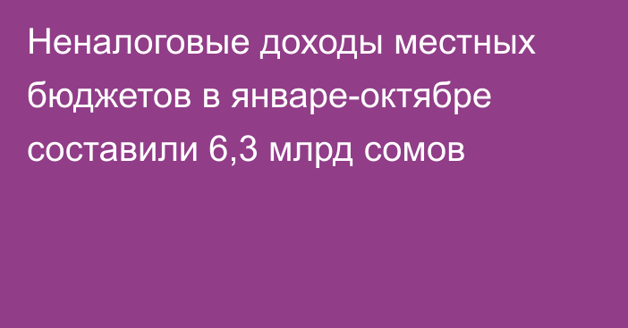 Неналоговые доходы местных бюджетов в январе-октябре составили 6,3 млрд сомов