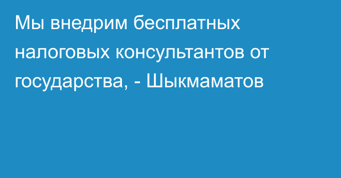 Мы внедрим бесплатных налоговых консультантов от государства, - Шыкмаматов