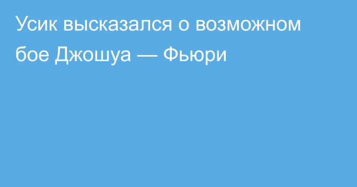 Усик высказался о возможном бое Джошуа — Фьюри