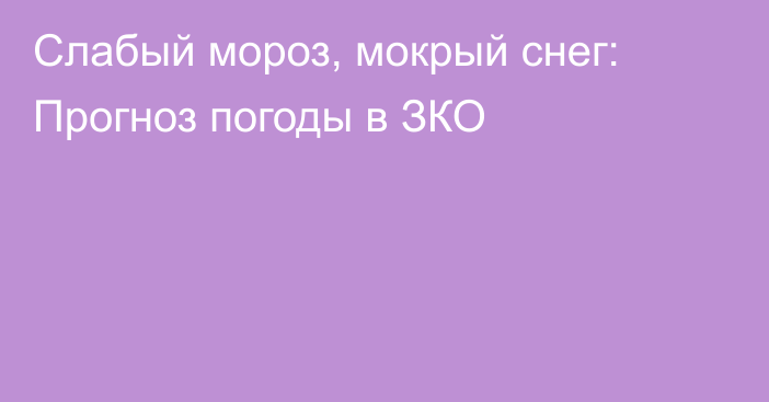 Слабый мороз, мокрый снег: Прогноз погоды в ЗКО