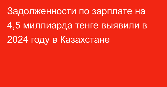 Задолженности по зарплате на 4,5 миллиарда тенге выявили в 2024 году в Казахстане