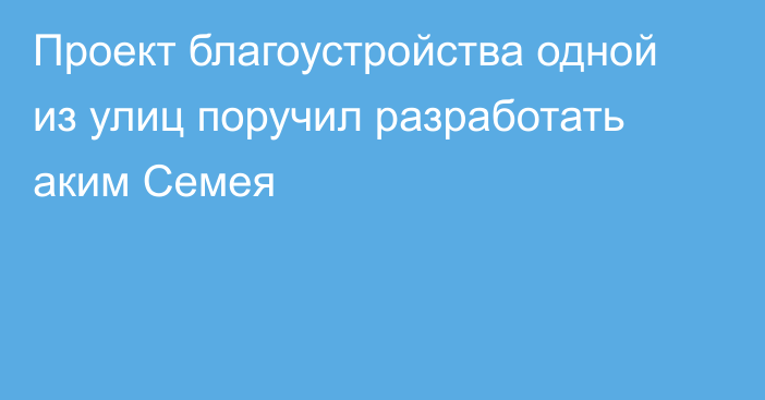 Проект благоустройства одной из улиц поручил разработать аким Семея