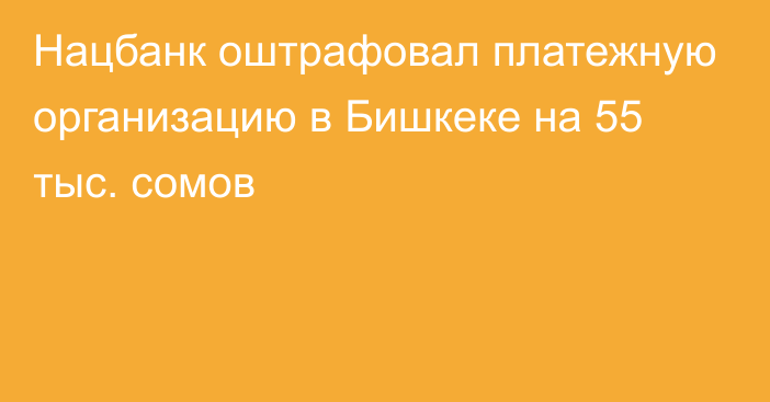 Нацбанк оштрафовал платежную организацию в Бишкеке на 55 тыс. сомов