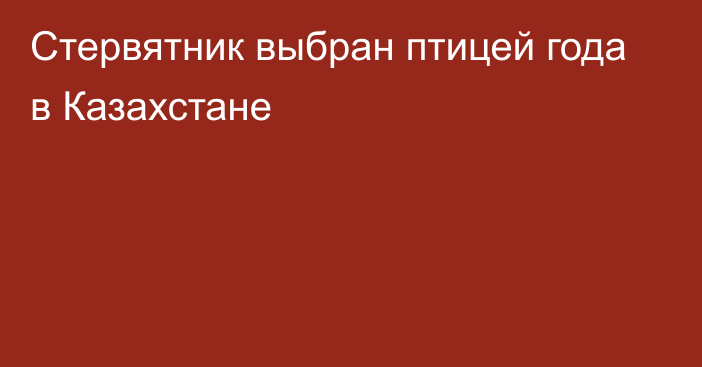 Стервятник выбран птицей года в Казахстане