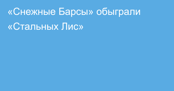 «Снежные Барсы» обыграли «Стальных Лис»