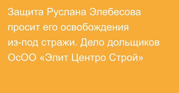 Защита Руслана Элебесова просит его освобождения из-под стражи. Дело дольщиков ОсОО «Элит Центро Строй»