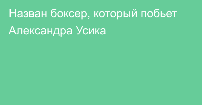 Назван боксер, который побьет Александра Усика