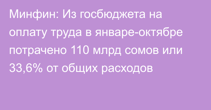 Минфин: Из госбюджета на оплату труда в январе-октябре потрачено 110 млрд сомов или 33,6% от общих расходов