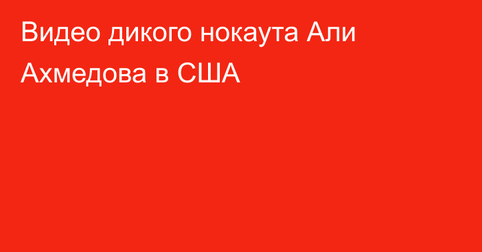 Видео дикого нокаута Али Ахмедова в США