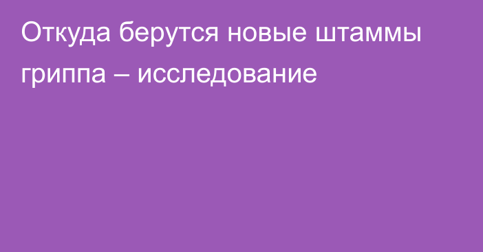 Откуда берутся новые штаммы гриппа – исследование