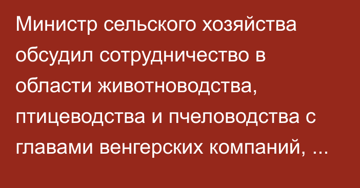 Министр сельского хозяйства обсудил сотрудничество в области животноводства, птицеводства и пчеловодства с главами венгерских компаний, - кабмин 