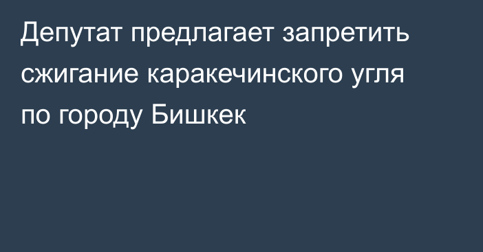 Депутат предлагает запретить сжигание каракечинского угля по городу Бишкек