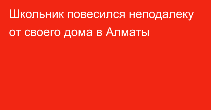 Школьник повесился неподалеку от своего дома в Алматы