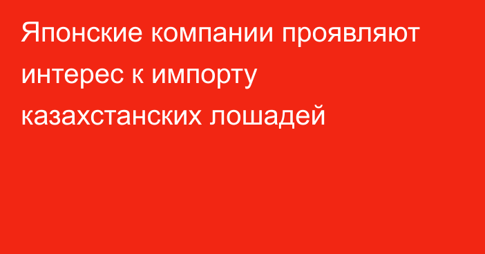 Японские компании проявляют интерес к импорту казахстанских лошадей