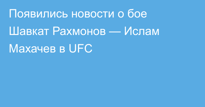 Появились новости о бое Шавкат Рахмонов — Ислам Махачев в UFC