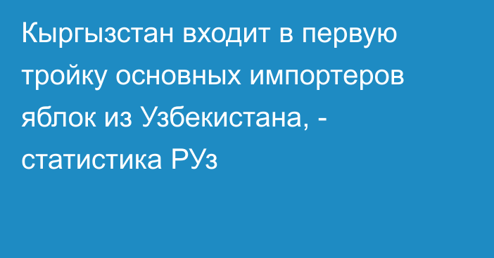 Кыргызстан входит в первую тройку основных импортеров яблок из Узбекистана, - статистика РУз