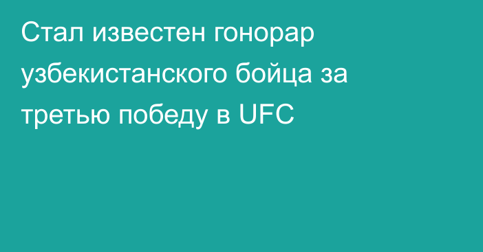 Стал известен гонорар узбекистанского бойца за третью победу в UFC