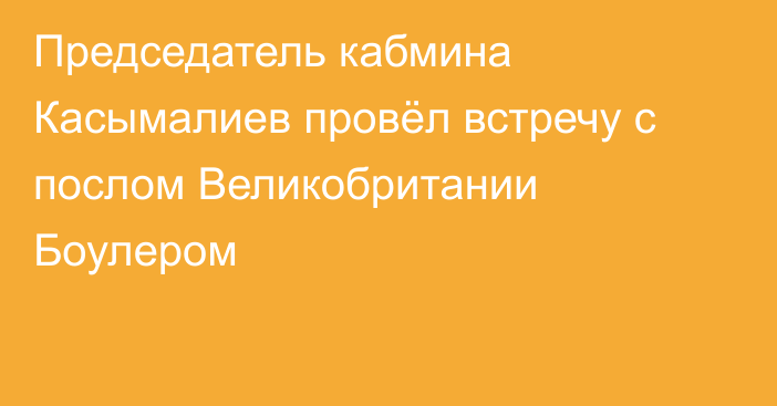 Председатель кабмина Касымалиев провёл встречу с послом Великобритании Боулером