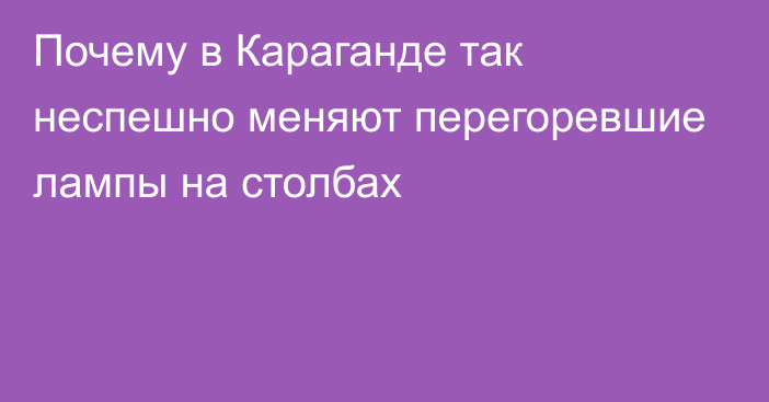 Почему в Караганде так неспешно меняют перегоревшие лампы на столбах