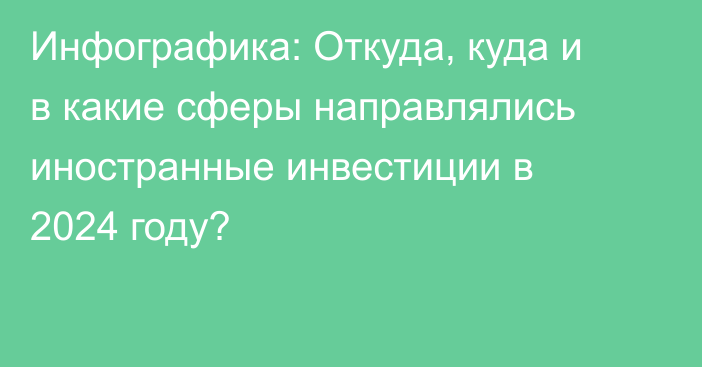 Инфографика: Откуда, куда и в какие сферы направлялись иностранные инвестиции в 2024 году?