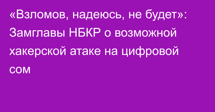 «Взломов, надеюсь, не будет»: Замглавы НБКР о возможной хакерской атаке на цифровой сом