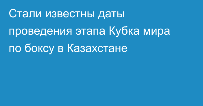 Стали известны даты проведения этапа Кубка мира по боксу в Казахстане