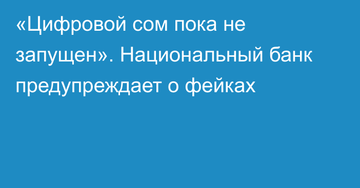 «Цифровой сом пока не запущен». Национальный банк предупреждает о фейках