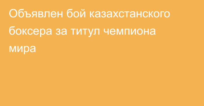 Объявлен бой казахстанского боксера за титул чемпиона мира