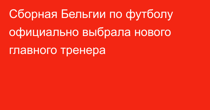 Сборная Бельгии по футболу официально выбрала нового главного тренера