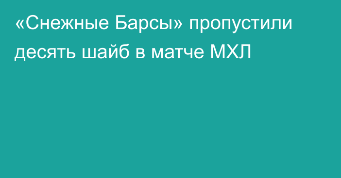 «Снежные Барсы» пропустили десять шайб в матче МХЛ