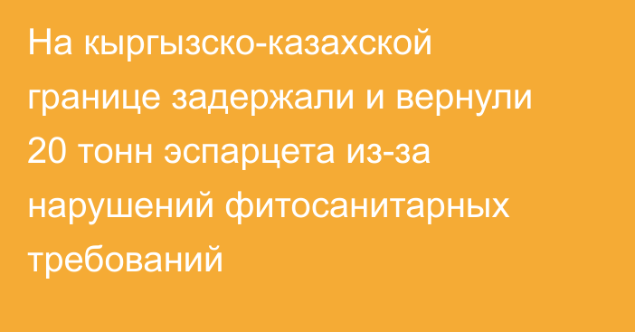 На кыргызско-казахской границе задержали и вернули 20 тонн эспарцета из-за нарушений фитосанитарных требований