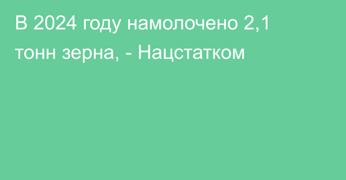 В 2024 году намолочено 2,1 тонн зерна, - Нацстатком