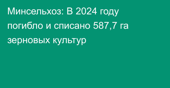 Минсельхоз: В 2024 году погибло и списано 587,7 га зерновых культур