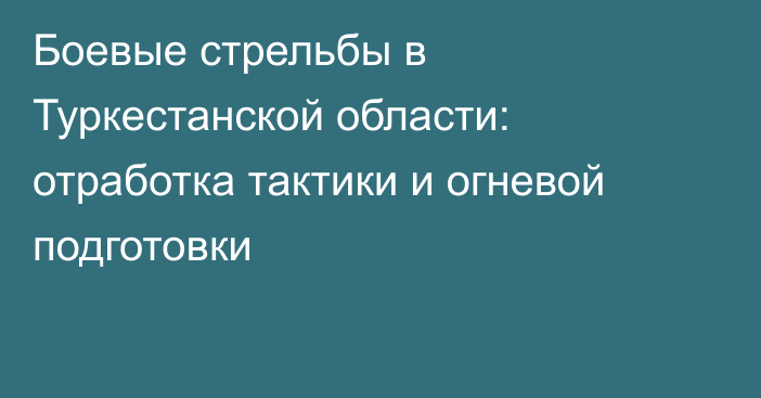 Боевые стрельбы в Туркестанской области: отработка тактики и огневой подготовки