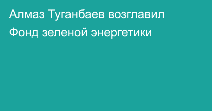 Алмаз Туганбаев возглавил Фонд зеленой энергетики