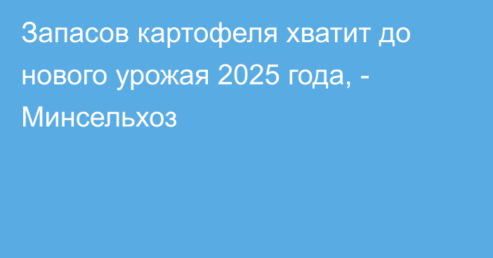 Запасов картофеля хватит до нового урожая 2025 года, - Минсельхоз