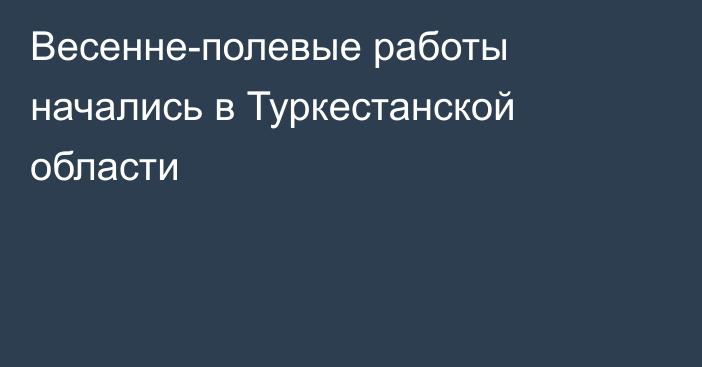 Весенне-полевые работы начались в Туркестанской области