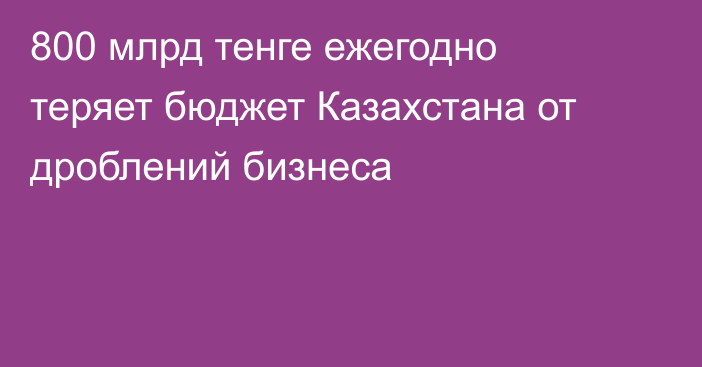 800 млрд тенге ежегодно теряет бюджет Казахстана от дроблений бизнеса